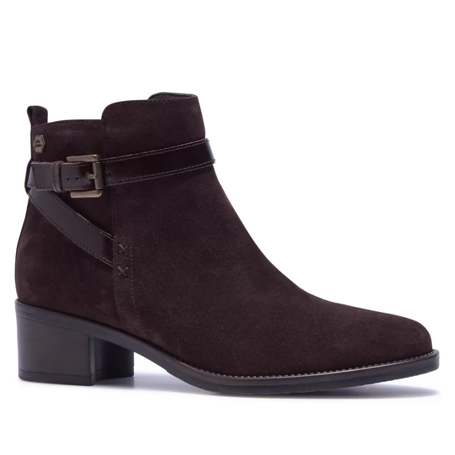 Ankle Boots | Carl Scarpa Almafi Brown Suede Ankle Boots